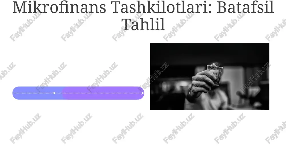 mikrofinans modellari va operatsiyalari - Page 4