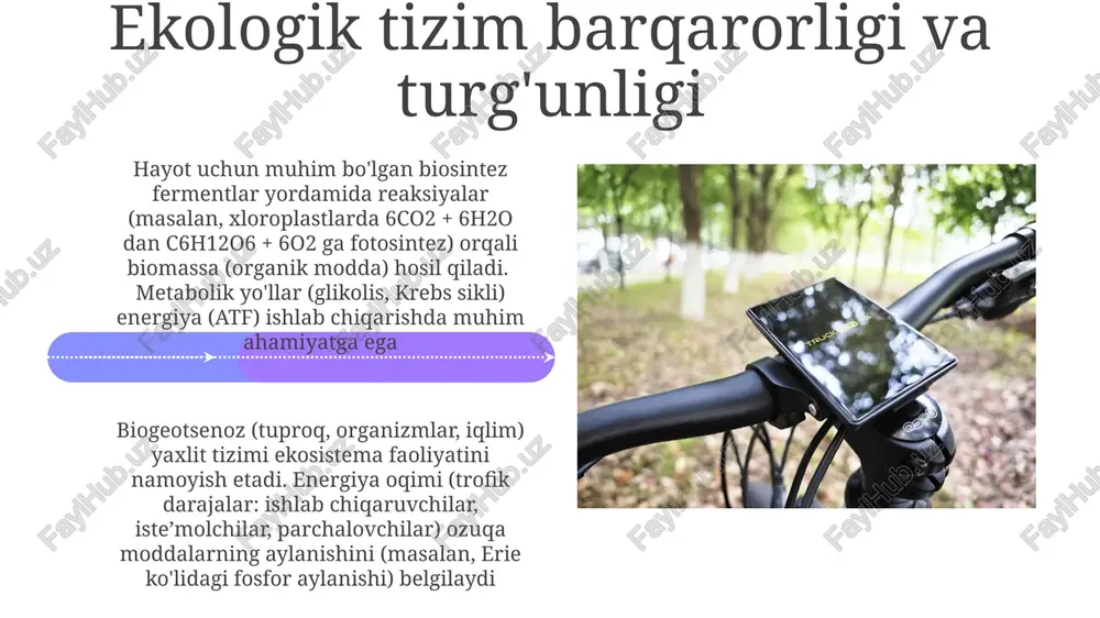 biosintez biogeotsenoz va ekotizimlarning tizmlari va xususiyatlari - Page 4