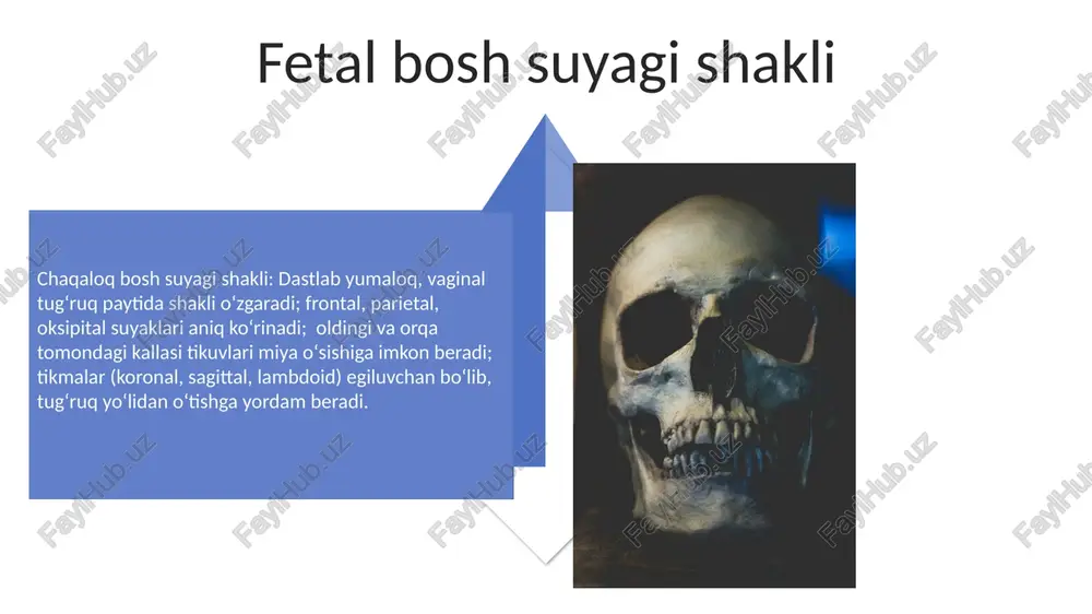 chaqaloqlarning bosh suyak qismlari - Page 4
