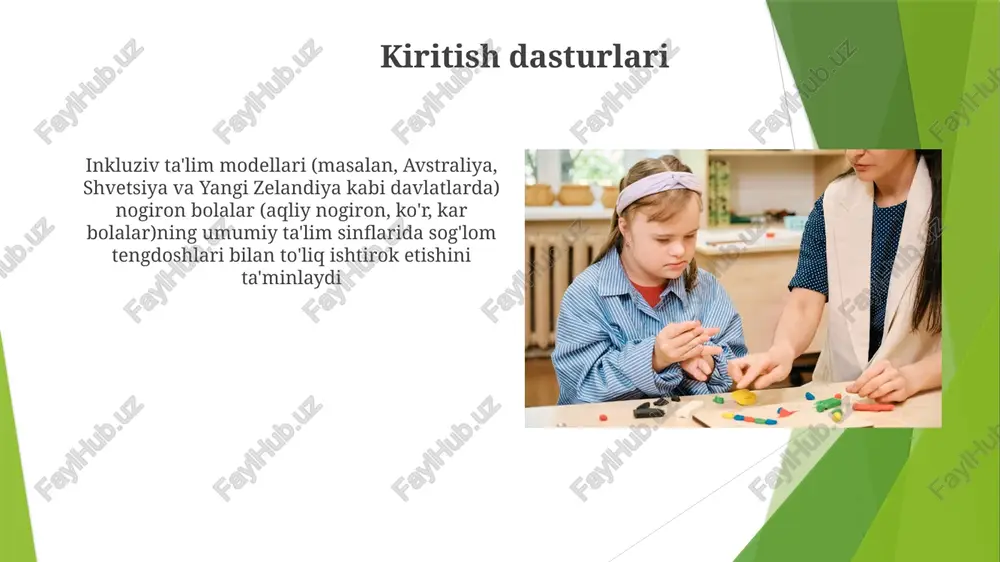 inklyuziv maktab modeli - Page 4
