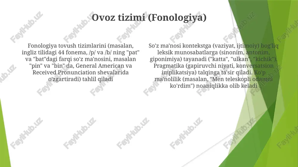 lisoniy shakl va lisoniy ma'no - Page 4