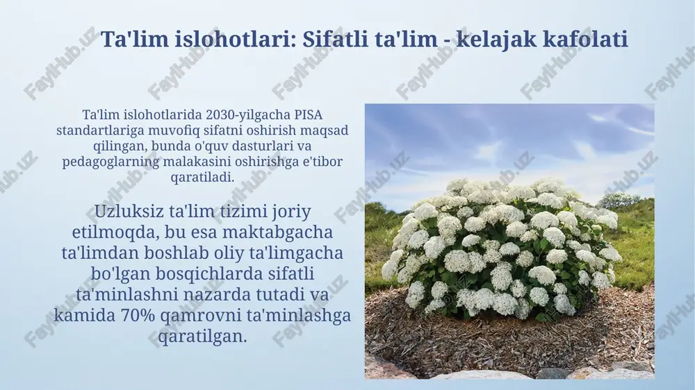 15%i ish topishda qiynalmoqda, bu esa kasbiy yo'naltirish va malaka oshirish dasturlarini takomillashtirishni talab etadi. xulosa: barkamol avlod - yangi o'zbekistonning tayanchi barkamol avlod 2030 yilga borib yangi o'zbekistonning iqtisodiy o'sishini 15% ga oshirishi mumkin, innovatsion g'oyalar va malakali ishchi kuchi hisobiga. ma'naviy boy, jismonan sog'lom va bilimli yoshlar – yangi o'zbekistonning asosiy kapitali bo'lib, ular jamiyatda 75% islohotlarni amalga oshirishga qodir. e'tiboringiz uchun rahmat image4.png image5.png image6.jpg image7.jpg image8.jpg image9.png image10.jpg image11.png image12.jpg image13.jpg image14.jpg image15.jpg image16.jpg image17.jpg image18.jpg image1.jpeg 25-idt-pr-ajay gannerkote as new president-15290
