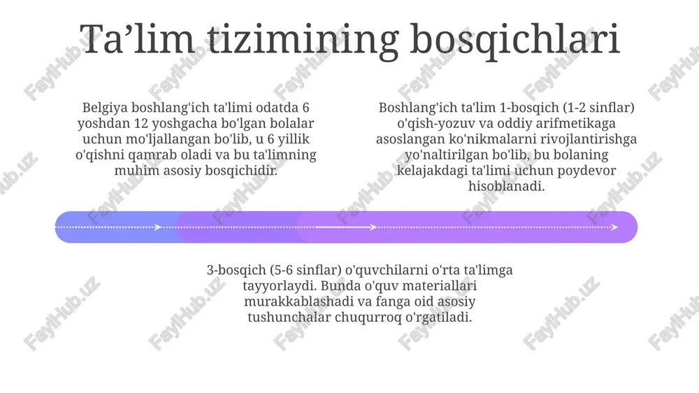 belgiya boshlang'ich ta'lim tizimi - Page 4