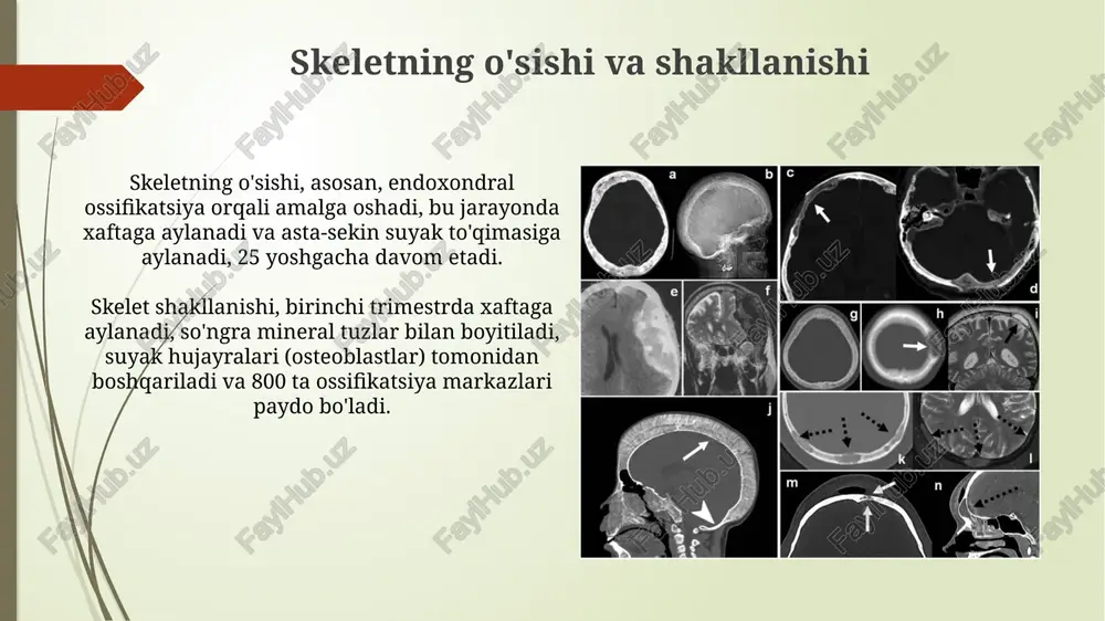 bolalardagi suyak tizimi - Page 4