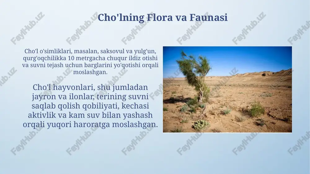 choʻllar va ularning boyliklari - Page 4