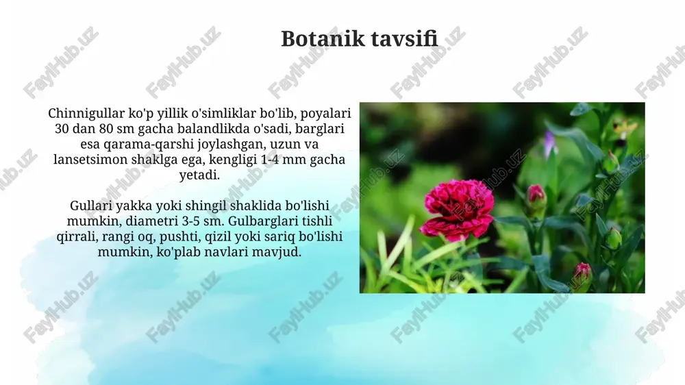 thus caryophyllus tarkibidagi 20 dan ortiq bioaktiv birikmalarni batafsil yoritadi. yetishtirish bo'yicha adabiyotlar tuproq unumdorligi, suv ta'minoti, zararkunandalarga qarshi kurash bo'yicha 30 ga yaqin tadqiqotni o'z ichiga olgan bo'lib, hosildorlikka ta'sirini baholaydi. e'tiboringiz uchun rahmat image2.jpg image3.jpg image4.jpg image5.jpg image6.jpg image7.jpg image8.jpg image9.jpg image10.jpg image11.jpg image12.jpg image13.jpg image14.jpg image15.jpg image16.jpg image1.png