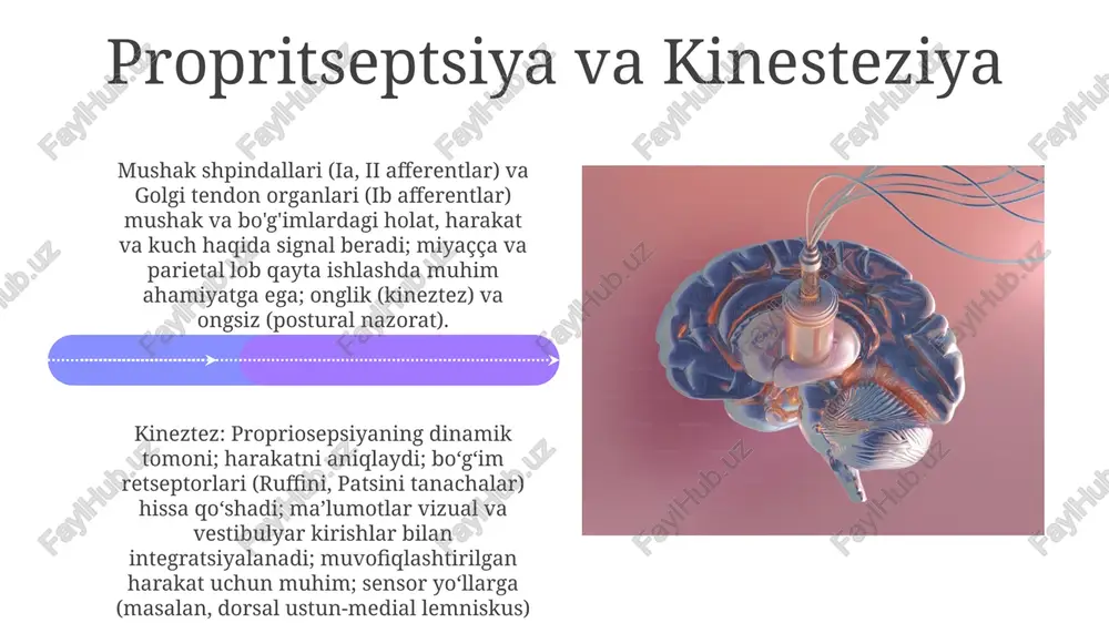 l aniqlash nazariyasi (javob tarafkashligi). yuqoriga koʻtariluvchi yoʻllar (masalan, ogʻriq va harorat uchun spino-talamik trakt) va pastga tushadigan yoʻllar (sezgi maʼlumotlarini modulyatsiya qilish) muhim ahamiyatga ega his tuyg'ularni anglash birlamchi sezgi korteksi (masalan, assotsiatsiya zonalari)dan tashqaridagi korteks jarayonlarini o'z ichiga oladi. neyrofiziologik asos sinaptik uzatish, neyrotransmitterlarning chiqarilishi (masalan, glyutamat, gaba) va neyron plastilinini o'z ichiga oladi sales 1st qtr 2nd qtr 100 0 sales 1st qtr 2nd qtr 100 0 sezgi o'zaro ta'siri va integratsiyasi sezuv tushunchasi: retseptor hujayralar (tayoqcha, konus, mexanoreseptorlar, nosiseptorlar) stimullarni uzatadi; mutlaq va farq chegaralari (veber-fehner qonuni); signal aniqlash nazariyasi; sezuv moslashuvi. miya sohalari: v1, a1, s1. neyrofiziologik asos: aktsion potentsiallar; neyrotransmitterlar (glyutamat, gaba); talamus relay stansiyasi; har bir his uchun maxsus miya yoʻllari (masalan, koʻrish nervi, eshitish nervi); somatosensor qobiq (gomunkulus). ko'rish: ko'rish sistemasi ko'rish hissiyot turlari: yorqinlik (kuch), rang (to'lqin uzunligi), to'yinganlik (tozalik). ko'rish o'tkirligi, snellen jadvali bilan o'lchanadi, aniqlikni aks ettiradi. chuqurlikni idrok …