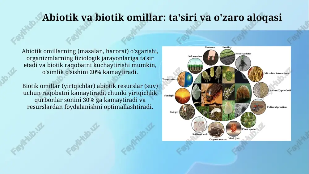 ekologikomillar - Page 4