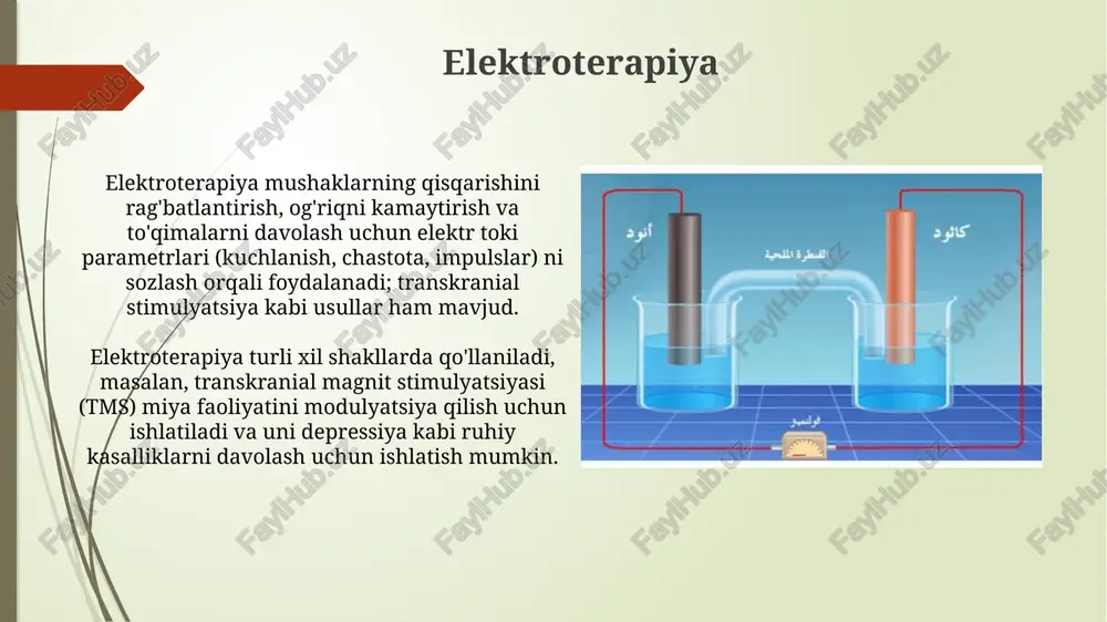 elektrokimyoviy biosensorlar - Page 4