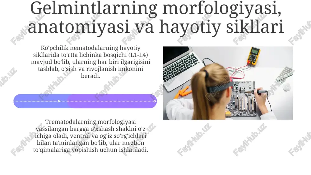 gelmentologiya - Page 4