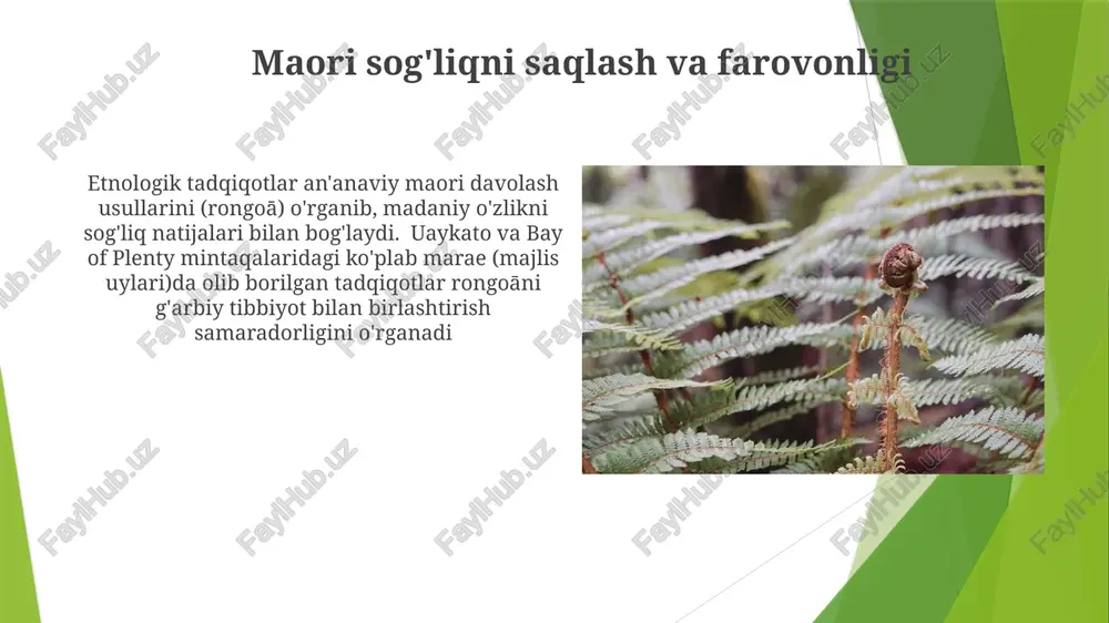 angi zelandiyaning 120 a’zoli parlamentda 7 ta o‘rinni egallaydi. vaitangi shartnomasi (1840) siyosiy da’volarga sezilarli ta’sir ko‘rsatadi. vaitangi tribunali hozirgi vakillikka ta’sir ko‘rsatuvchi tarixiy shikoyatlarni o‘rganadi. zamonaviy maori siyosiy faollarligi yer huquqlari (masalan, taranaki'dagi yerlarni tortib olishga oid uaitangi tribunali da'volari), o'z-o'zini boshqarish va bay of plenty singari hududlarda resurslarni boshqarish kabi masalalarga qaratilgan. oklend va uellington shaharlaridagi maori aholisining siyosiy ta'siri ham sezilarli vaitangi shartnomasi va uning oqibatlari vozixatdagi shartnoma talqini bo'yicha munozaralar zamonaviy maori etnologiyalariga ta'sir qilib, yer talablari (waitangi tribunali 1975 yilda tashkil etilgan), madaniy qayta tiklash harakatlari, o'z-o'zini boshqarish tashabbuslari va yangi zelandiyaning ikki madaniyatli identifikatsiyasi va siyosiy doirasida tarixiy adolatsizliklarni bartaraf etishga ta'sir ko'rsatmoqda shartnoma maori etnologiyaiga katta yer yo'qotishlariga (1900-yilga kelib taxminan 66%) olib keldi, an'anaviy urf-odatlarga, ijtimoiy tuzumlarga va resurslarni boshqarishga ta'sir qildi māori hunarmandchiligi māori madaniyatining etnologik tadqiqotlari yevropa istilosi davridan oldingi māori jamiyatini, ijtimoiy tuzilmalarini (hapū, iwi), e'tiqod tizimlarini (mana'ning ruhiy …