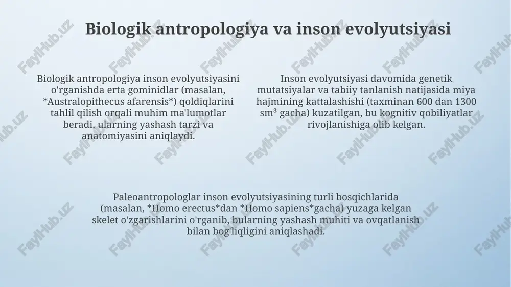 insonantropologiyasi - Page 4