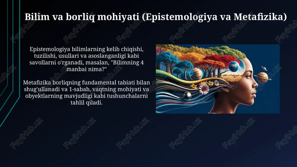 insonfalsafasi - Page 4