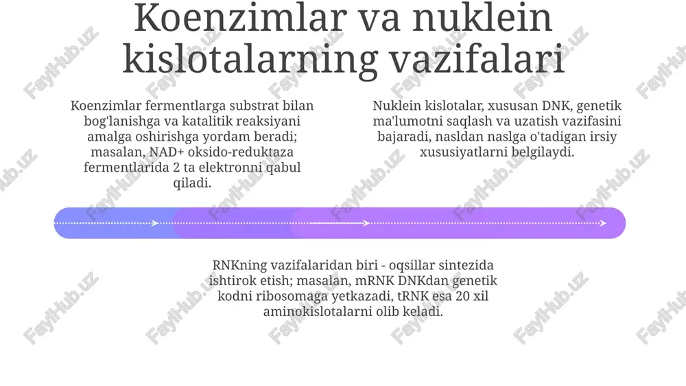 kofermentlar va nuklein kislotalarning tuzulishi - Page 4