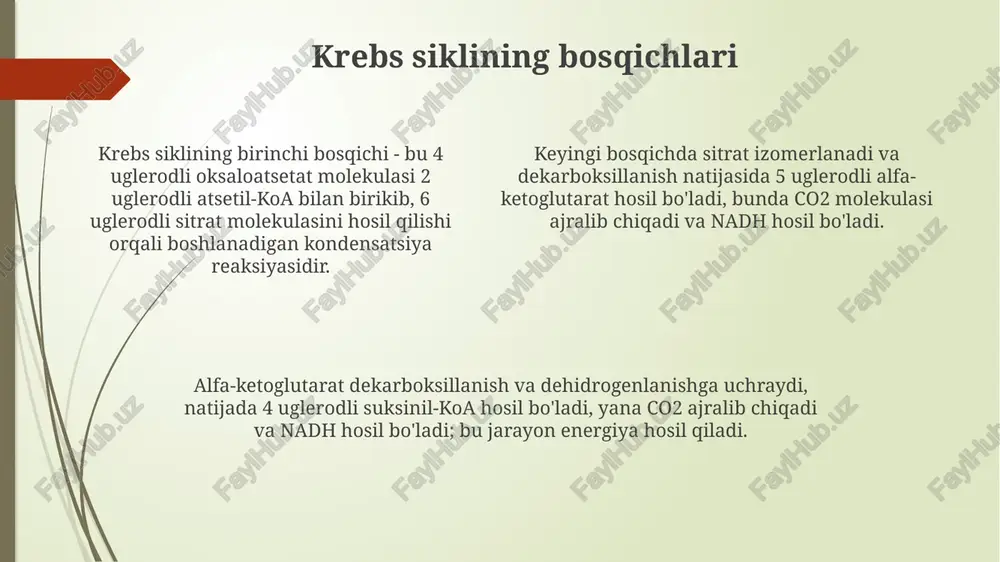 krebssikli.uglevodlarningfosfatyog’libilanoksidlanishi - Page 4