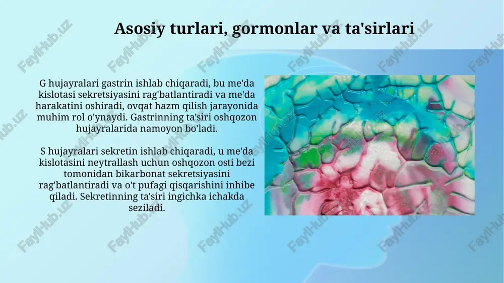 oshqozon-ichak traktining endokrin hujayralari - Page 4