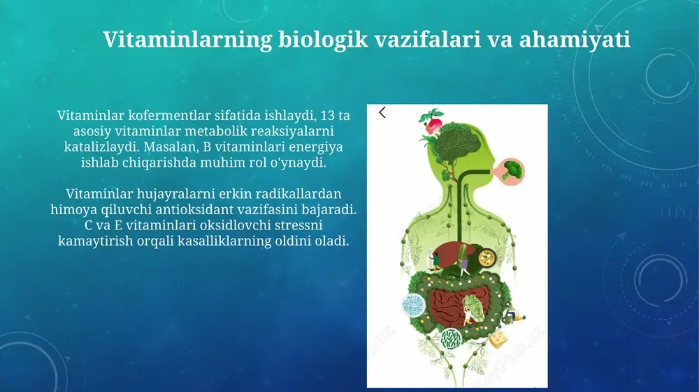 vitaminlar va ularning ahamiyati - Page 4