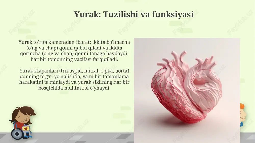 qon aylanish tizimi - Page 4