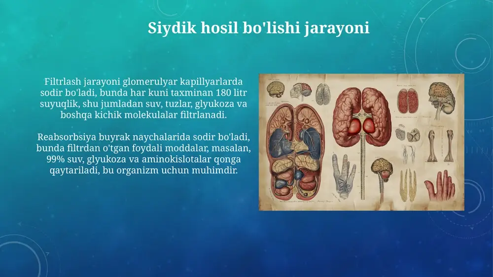 siydikayirishsistemasi - Page 4