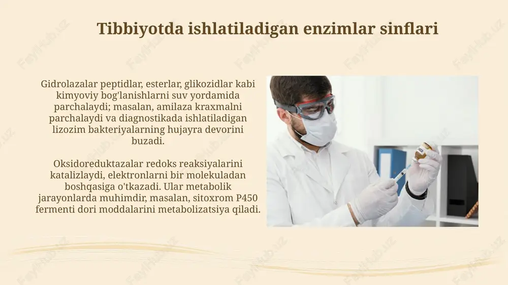 ini tushuntiradi, konsentratsiya va tezlik o'rtasidagi bog'liqlikni aniqlaydi. km qiymati fermentning substratga bo'lgan yaqinligini ifodalaydi; past km yuqori yaqinlikni anglatadi. vmax esa fermentning maksimal reaksiya tezligini ko'rsatadi, miqdorni hisoblash uchun kerak. enzim inhibitörleri enzim ingibitorlari fermentlarning faolligini pasaytiradi yoki to'xtatadi, masalan, dori vositalari fermentni bloklaydi va shu bilan metabolik yo'lni to'xtatib, kasallikni davolaydi. raqobatbardosh ingibitorlar fermentning faol markaziga bog'lanib, substrat bilan raqobatlashadi, shu bilan birga reaksiya tezligini kamaytiradi, lekin yuqori substrat konsentratsiyasi bu ta'sirni yengishi mumkin. immobilizatsiyalangan enzimlar immobilizatsiyalangan fermentlar 10 martadan 100 martagacha qayta ishlatilishi mumkin, bu ularning iqtisodiy samaradorligini sezilarli darajada oshiradi va xarajatlarni kamaytiradi. immobilizatsiyalangan fermentlar yuqori barqarorlikka ega, masalan, ph va haroratga chidamliligi oshadi, bu ularning turli xil tibbiy sharoitlarda qo'llanilishini kengaytiradi. enzim muhandisligi enzim muhandisligi ma'lum bir xususiyatni optimallashtirish uchun fermentning aminokislotalar ketma-ketligiga yo'naltirilgan o'zgarishlarni kiritish uchun 1980-yillardan beri ishlatiladigan metoddir. saytga yo'naltirilgan mutagenez 1982-yilda ishlab chiqilgan bo'lib, olimlarga fermentning faol joyini aniq o'zgartirish imkonini …