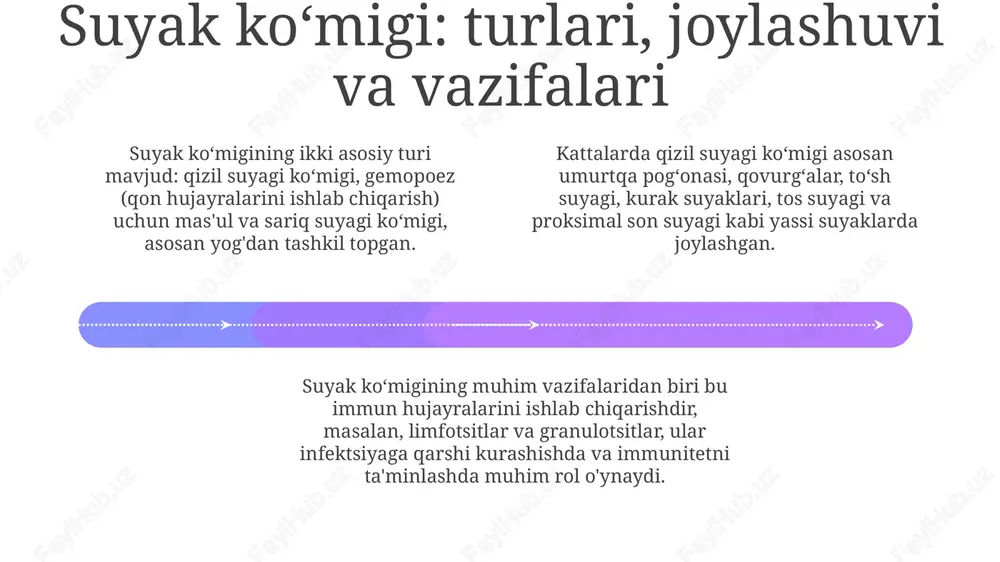 kurak suyagi, suyak koʻmigi va koʻkrak umurtqalari - Page 4
