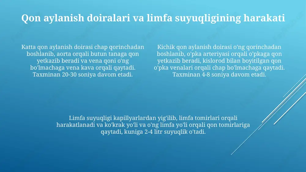 yurak.limfasistemasi - Page 4