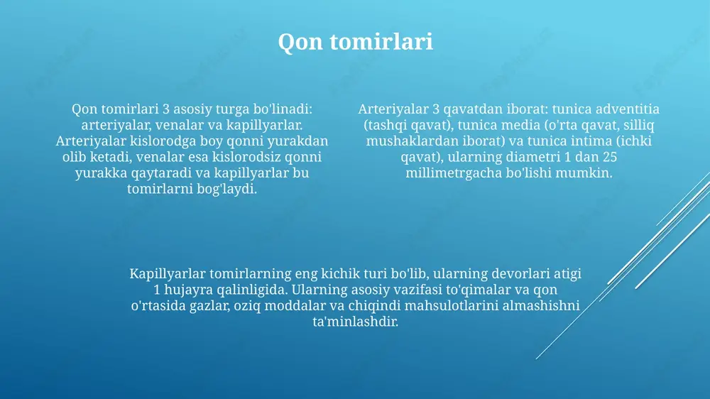 di va yog' to'qimalari bilan almashadi. talok qonda eski va shikastlangan qizil qon hujayralarini yo'q qiladi. shuningdek, u qonni filtrlaydi va immun javobda ishtirok etadi, taxminan 120 gramm og'irlikda bo'lishi mumkin. immun tizimi bilan aloqasi timoq bezi t limfotsitlarining yetilishida muhim rol o'ynaydi, bu esa 12 yoshgacha eng faol bo'lib, adaptiv immun tizimini 90% dan ortiq ta'minlaydi. limfa tugunlari immun hujayralari, jumladan limfotsitlar uchun uchrashuv joyi bo'lib, antijenlar bilan aloqa ularning faollashuviga olib keladi va 100 dan ortiq immun javoblarini boshlaydi. talok qondagi zararli moddalarni filtrlaydi va immun hujayralarining ko'payishiga yordam beradi. u 25% dan ortiq immun globulinlarni sintez qiladi va immun tizimni mudofaa qiladi. yurak-qon tomir kasalliklari: ateroskleroz va gipertoniya aterosklerozda qon tomirlarining ichki qatlamida yog'li cho'kindilar (plaklar) to'planib, tomir devorini qalinlashtiradi va qon oqimini kamaytiradi, bu esa yurak xuruji xavfini oshiradi. gipertoniya, ya'ni yuqori qon bosimi, sistolik bosim 140 mmhg dan va diastolik bosim 90 mmhg dan yuqori …