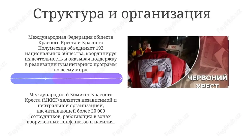 obshestvokrasnogokrestaipolumesyatsa - Page 4