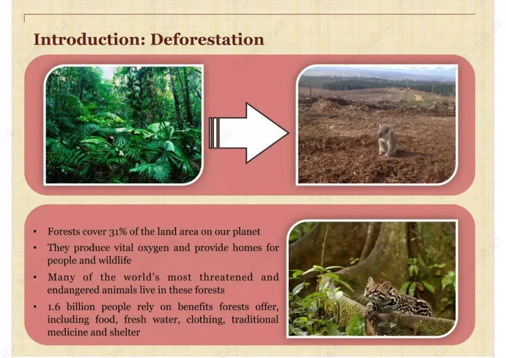 umption must be drastically reduced. opting for paperless bills, checks and payments significantly contributes towards mending the harmful effects of deforestation be conscious of your food choices cattle grazing is one of the primary causes of deforestation. limit your consumption of fast food meat and always choose to buy locally. knowing where your food comes from helps to combat deforestation 3. individuals use renewable energy * in some places, especially developing countries, wood is still used as fuel. purchase renewable energy, such as solar, geothermal and wind energy to help stop deforestation what’s better than one person fighting deforestation? two people doing the same thing. spread your knowledge and urge others to follow in your footsteps and fight deforestation 4 . bay eoll ya et el aa al + = ) oa 2 = —s) - ) es