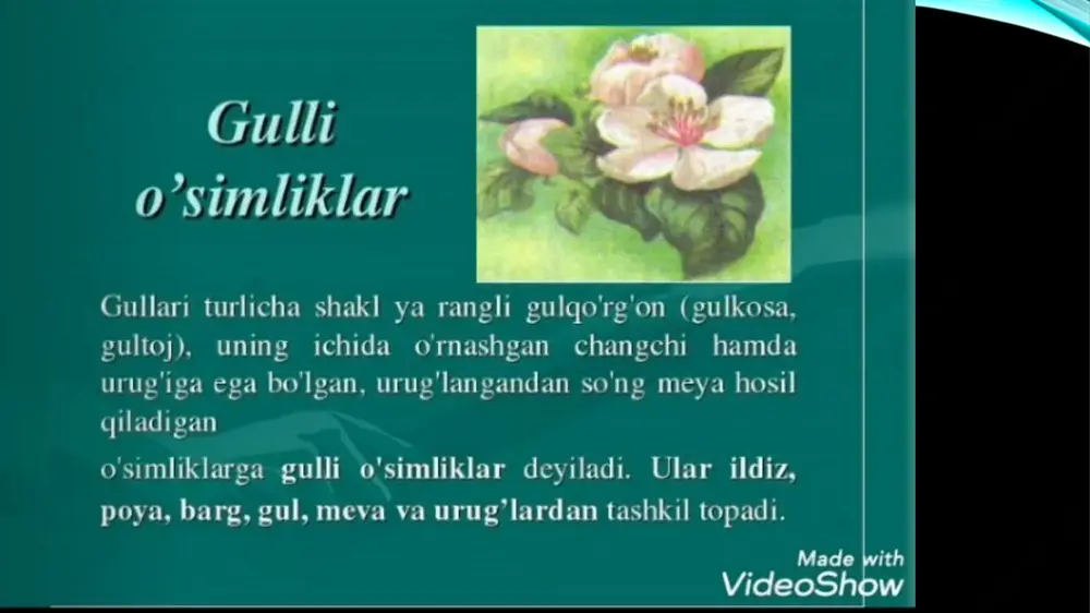 ildiz (diz) - Page 4