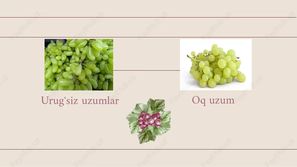 uzum - Page 4