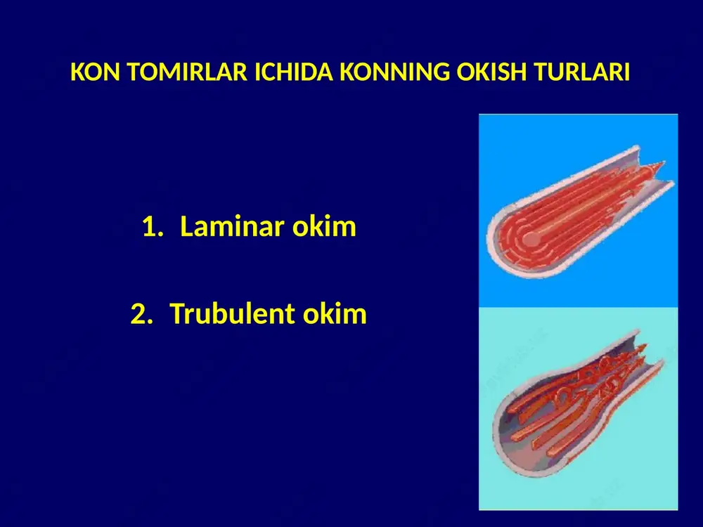 riga keltirib quyadi immun jaraenni ta'minlaydi limfa oqimining ta'minlanishi limfa oqimi gidrostatik bosim farqi ostida ta'minlanadi tomirlar ichidagi bosim varki orkali ta'minlanadi 8 -0 yurakni surishi ostida ta'minlanadi nafasolish ostida ta'minlanadi mushaklarning kiskarishi orkali ta'minlanadi qorin bo'ligidagi boimning uzgarishi okibatida ta'minlanadi varsinkalarni kiskarib bushashishi ostida ta'minlanadi ichak pristaltikasi ostida ta'minlanadi klapanlarni ishi ostida ta'minlanadi simpatik nerv tizimining tonusini o'zgarishi oqibatida ta'minlanadi (9-10 marta minutida kiskarib bushushishi) e’tiborlariningiz uchun raxmat image1.jpeg image2.png image3.png image4.jpeg image5.jpeg image6.jpeg image7.jpeg image8.jpeg image9.jpeg image10.png image11.png image12.jpeg image13.png image14.jpeg image15.jpeg image16.jpeg image17.jpeg image18.jpeg image19.jpeg image20.jpeg image21.jpeg image22.jpeg image23.jpeg image24.png /docprops/thumbnail.jpeg
