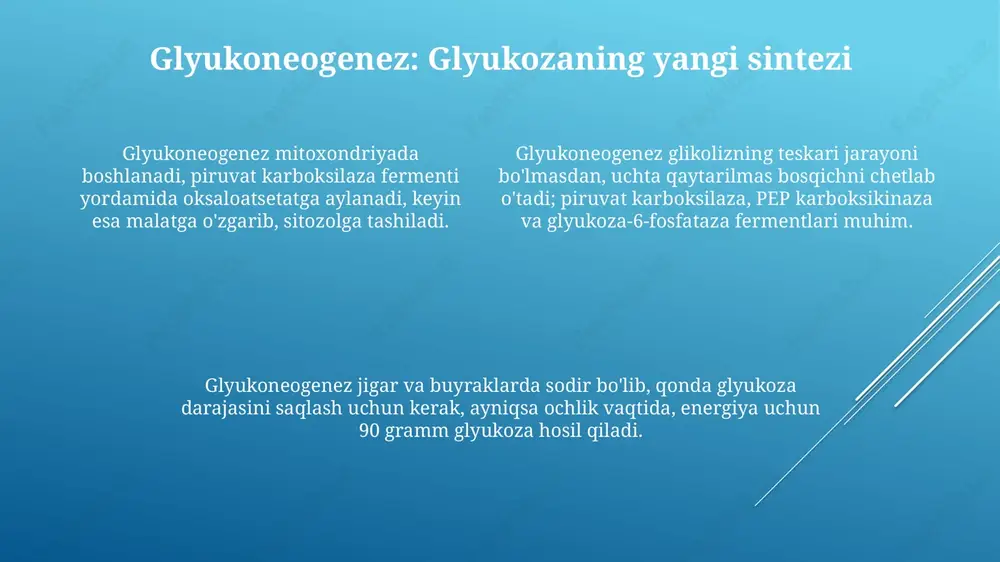 glikoliz va glyukoneogenez - Page 4