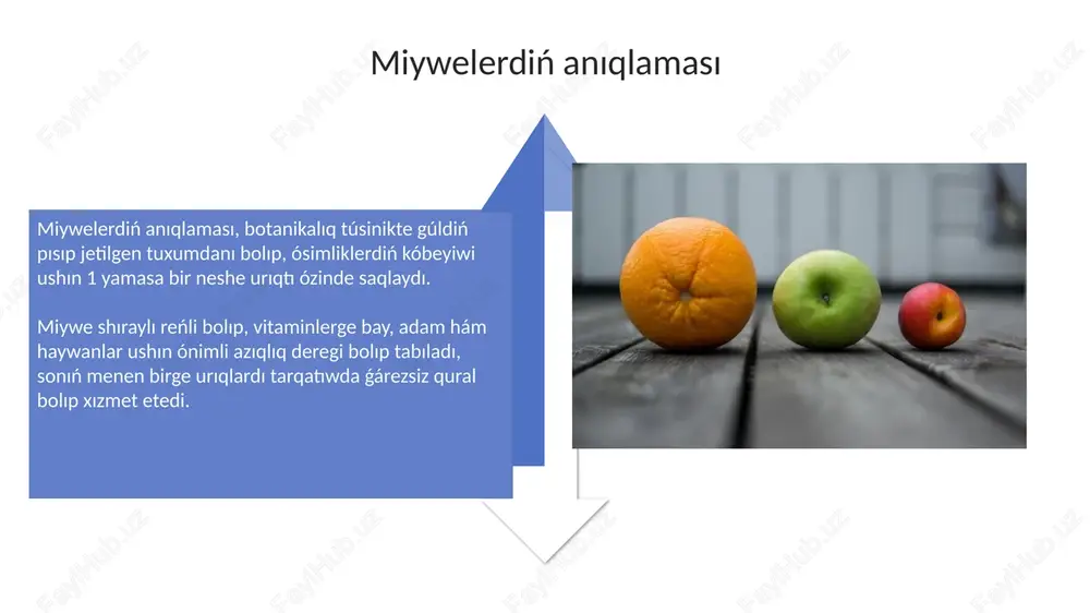 kin. nazariңiz үshіn raxmet slide 1 slide 2 slide 3 slide 4 slide 5 slide 6 slide 7 slide 8 slide 9 slide 10 slide 11 slide 12 slide 13 slide 14 slide 15 slide 16 slide 17 slide 18 slide 19 slide 20