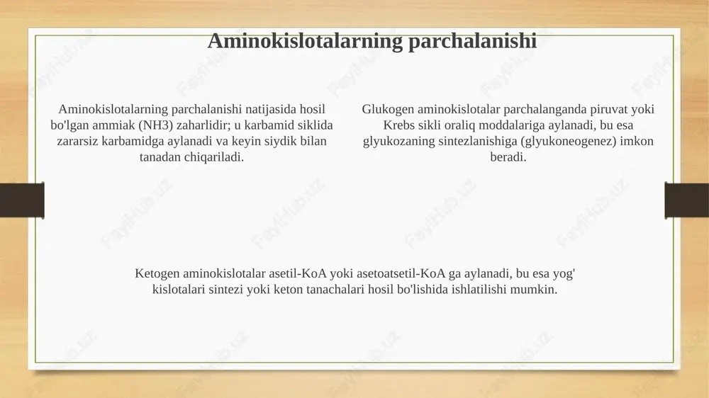 aminokislotalarni almashinuvi - Page 4
