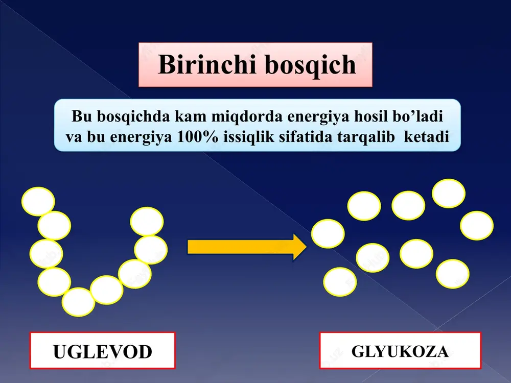 energiya almashinuvi gadoir masala echish metodikasi - Page 4