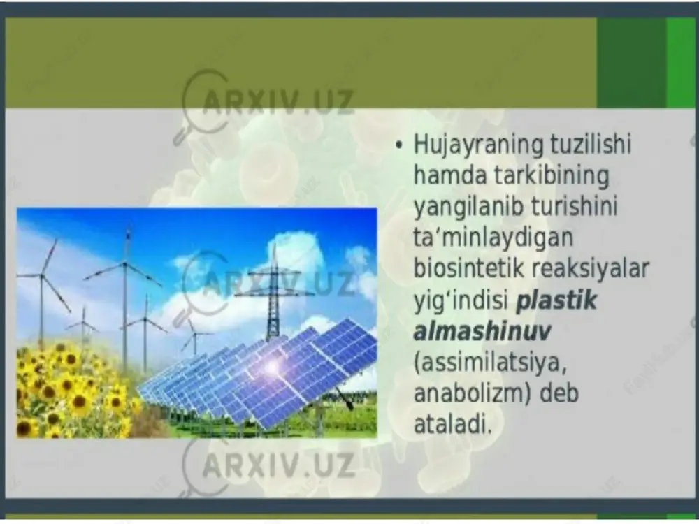 modda va energiya almashinuvi - Page 4