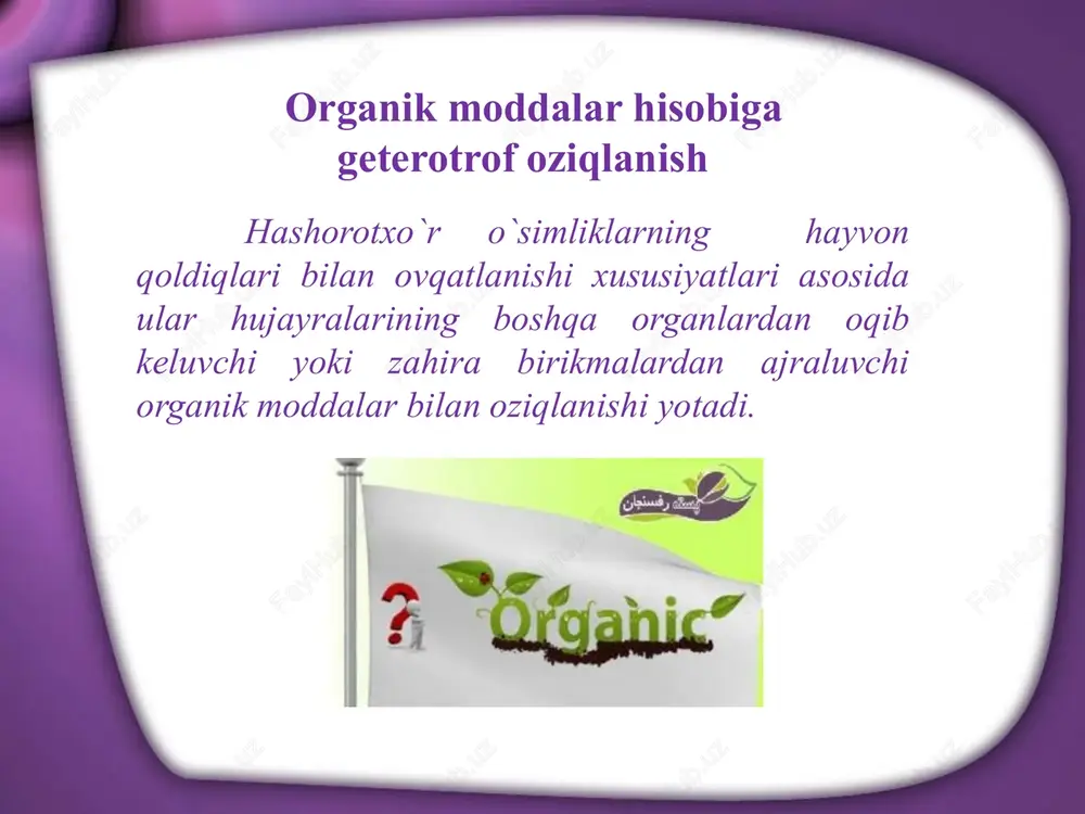 hashorotxo`ro`simliklarningoziqlanishi - Page 4