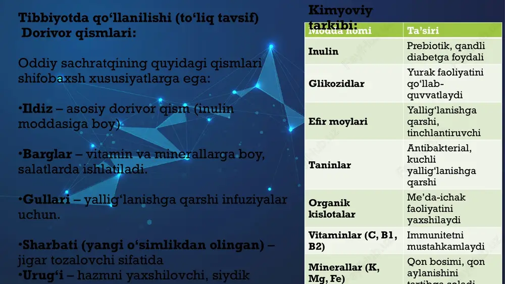 oddiy sachratqi: dorivor xususiyatlar va qo‘llanilishi - Page 4