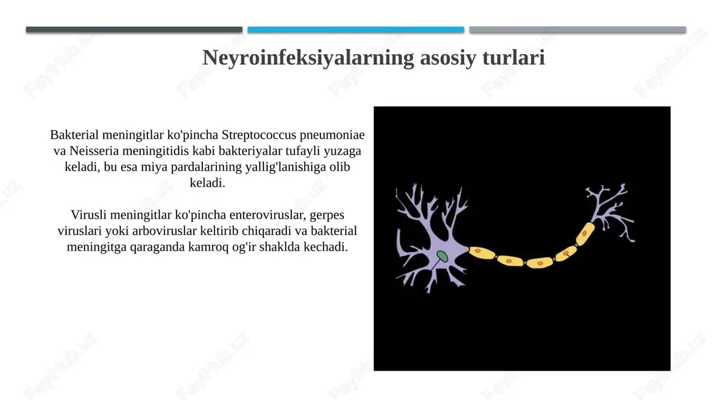 neyroinfeksiyalarning etiologiyasi va mikrobiologik tasnifi - Page 4