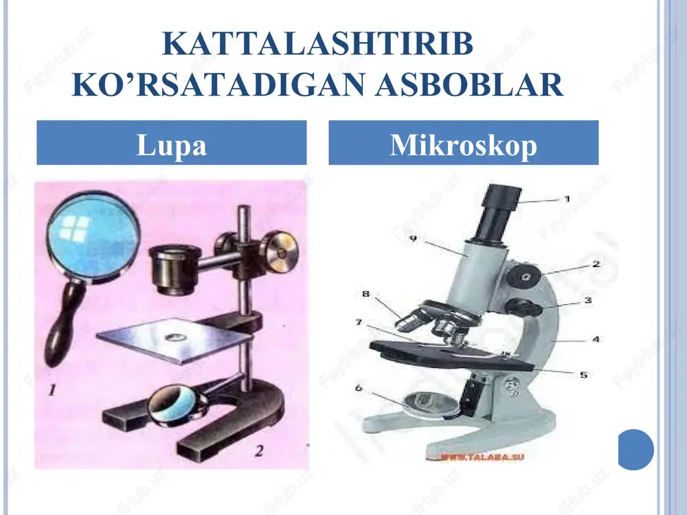 ari tomoniga buriladi. mikropreparatning tarkibiy qismini aniqrok ko'rish uchun mikrometrik vintni ham shuning singari burash kerak. shuningdek mikrometrik vintni ishlatib, preparatning chuqur sathidagi elementlarni ham yaxshi ko'rish mumkin. revol ver. bu aylanadigan to'garak diskdan iborat bo'lib, tubusning ostida o'rnatilgan. diskning ostida 3 ta, ba'zan 4 ta turli katta-kichiklikdagi to'garak uyalari bo'ladi. bu uyalarga har xil darajada kattalashtirib ko'rsatadigan zapas ob'yektivlar o'rnashtiriladi. gistologik tekshirilishlarda diskni aylantirib, ob'yektlarning keragini ko'rish mumkin. 8 mikroskopning tuzilishi: 1-taglik 2-shtativ dasta 3-tubus 4-makrovin 5-mikrovint 6-revoler 7-buyum stolchasi 8-buyum oynachasi 9-ko’zgu 10-kondinser diafragmasi 11-obektiv 12-okulyar mikroskop turlari 1.qorong’u maydonli mikroskopda ko’rish. bu mikroskopning tuzilishi va unda preparatlarni ko’rish prinsipi yorug’ maydonli mikroskopdagi bilan deyrali bir xil bo’lib, u tirik hujayra va to’qima tuzilmalrini o’rganishga mo’ljallangan.unda hujayraning qorong’u maydonda ko’rish maxsus konditsor yordamida amalga oshiriladi, yani yorug’lik nuri konditsor maydonda obektga qiyalatib tushiriladi. bunda obekt yorishib maydon qorong’uligicha qoladi. tirik hujayra tarkibiga tuzilmalar yaxshi ko’rinishi uchun obektga tushayotgan …