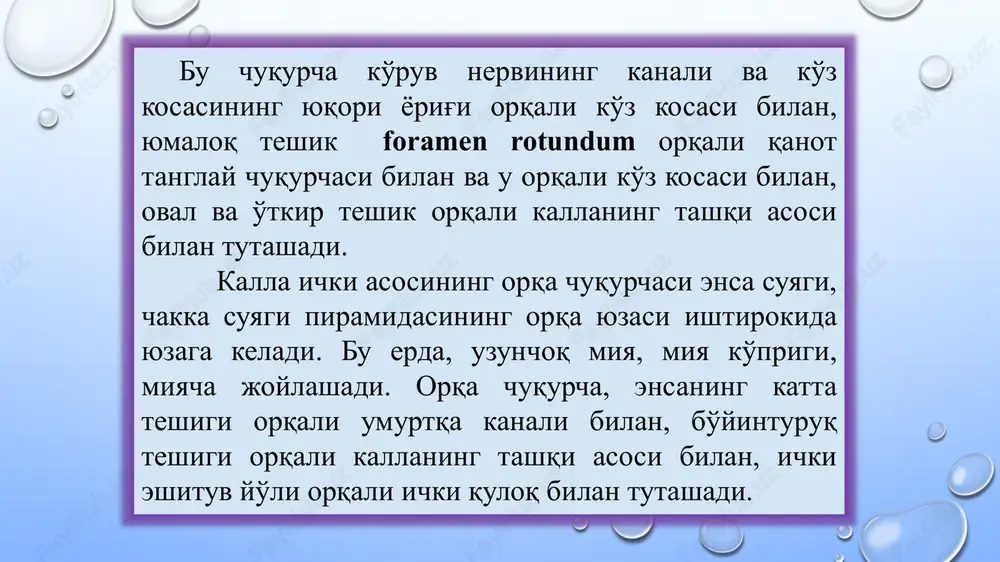 y chuqurchasi bilan aloqada turadi. og'iz bo'shlig'i, cavitas oris qanot tanglay chuqurchasi, fossa pterygopalatina kallaning miya va yuz suyaklari oralig'ida hosil bo'ladi. bu chuqurcha oldindan yuqori jag' suyagining tanasi, medial tomondan tanglay suyagining perpendikulyar plastinkasi, orqa tomondan ponasimon suyakning qanotsimon o'simtasi, yuqoridan ponasimon suyak katta qanotining yuqori jag' yuzasi, qanot-tanglay chuqurchasi pastki ko'z kosa yorig'i orqali ko'z kosasi bilan, yumaloq teshik orqali kallaning ichki asosi bilan, qanotsimon o'siq kanali orqali kallaning tashqi asosi bilan, ponasimon- tanglay teshigi, foramen sphenopalatinum vositasida burun bo'shlig'i bilan tutashadi. chuqurchaning lateral devori yo'q. lateral tomondan chakka osti chuqurchasiga davom etadi. qanot tanglay chuqurchasi, fossa pterygopalatina qanot tanglay chuqurchasi chakka osti chuqurchasi, fossa infratemporalis yuqori jag' suyagi tanasining orqasida, yanoq suyagi, yanoq ravog'idan medialroq, ponasimon suyak qanotsimon o'simtasidan lateral joylashgan. bu chuqurcha butun kallaning miya qismi tashqi asosining bir qismi hisoblanadi.uning yuqori devorini ponasimon suyak katta qanotining chakka osti qirrasidan ichkari joylashgan qismi tashkil etadi. bu …