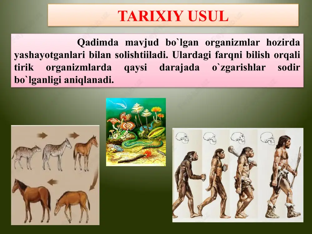 biologiyani o`rganish usullari - Page 4