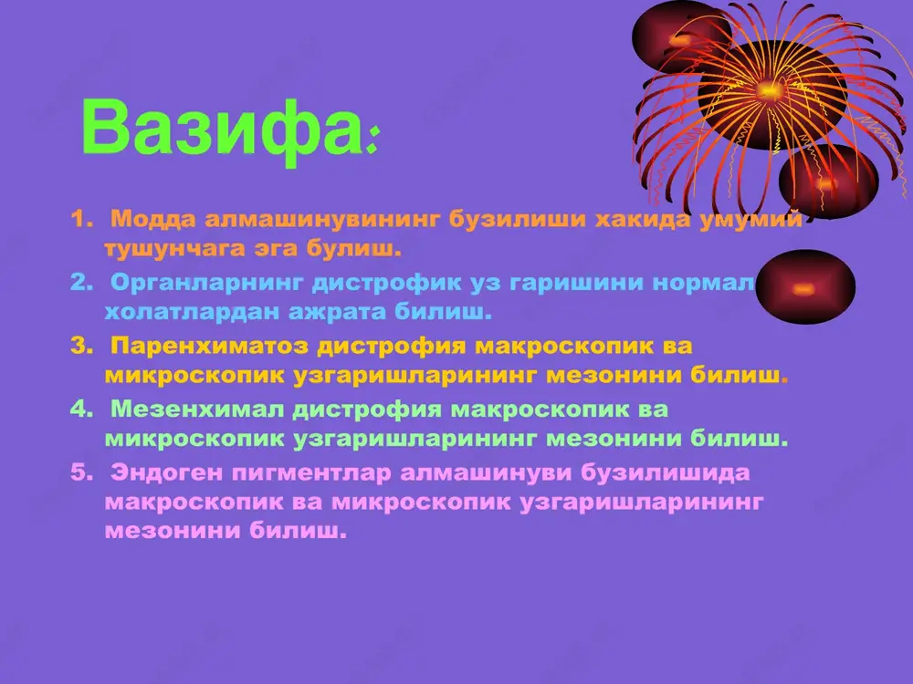 ax i prosvete kanaltsev;v-jir v strome pochki. jirovaya distrofiya nefrotsitov.v bazalnix otdelax kletki mnogo kapel lipidov(l). mitoxondrii(m) otnositelno soxranni. kletka kori golovnogo mozga pri gangliozid-lipoidize.v tsitoplaz me bolshoe kolichestvo osmiofilnix telets(ost) postroennix iz kontsentricheski raspolojennix membran.ya-yadro.yad-yadrishko. okibati: boshlangich boskichlarida xujayralarda uzgarish kam buladi. jarayon chukurlashsa xujayralarning ulimi bilan yakunlanadi. axamiyati: organlar funktsiyasi buziladi. parenximatoz uglevodli distrofiyalar. glikogen almashinuvi buzilishi. parenximatoz organlar(buyrak, yurak,jigar) xujayrasida glikogenning ortikcha yigilishi(kandli diabetda) bilan xarakterlanadi. glikoproteid almashinuvining buzilishi. xujayralarda mutsin va mukoidlar ortikcha mikdorda yigiladi. mikroskopik kurinishi: uglevodnaya distrofiya epiteliya pochechnix kanaltsev(pri saxarnom diabete).v nefrotsitax uzkogo segmenta i distalnogo otdela kanaltsev(a), a takje v prosvete kanaltsev (b) vidni skopleniya rubinovo-krasnix granul glikogena. kolloidnaya distrofiya shitovidnoy jelezi(koloidniy zob).v follikulax jelezi, razmeri kotorix uvelicheni, skopleniya kolloidnix mass(a). gepatotsiti pri glikogenoze.v tsitoplazme gepatotsita vidni otgranichennie membra noy glikogena(gl),xarakternoe dlya neizmennix gepatotsitov raspolo jenie glikogena v vide rozetok otsutstvuet.ya-yadro. er-endoplazmatik reti kulum. m-mitoxondrii .jk-jelchniy kapilyar.