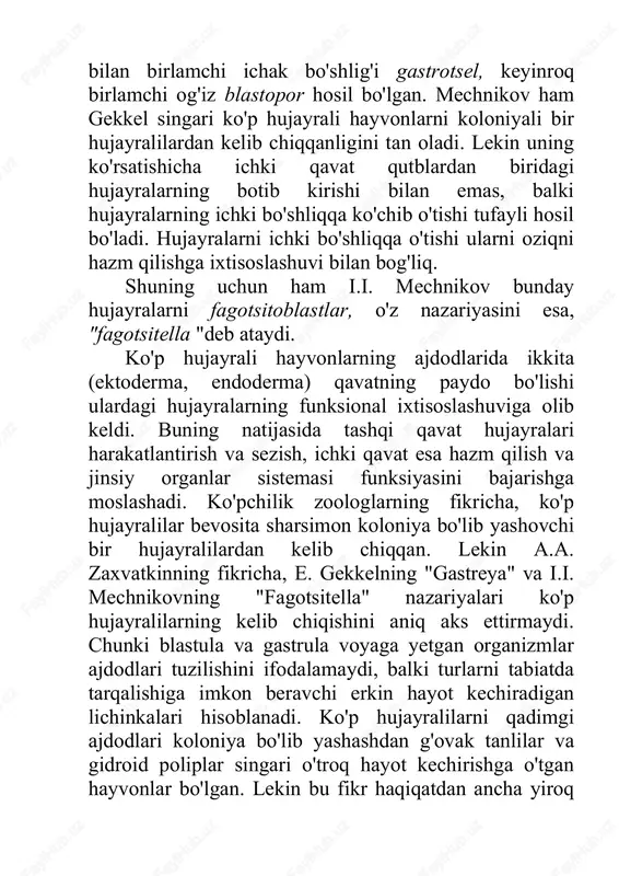 rlarni tabiatda tarqalishiga imkon beravchi erkin hayot kechiradigan lichinkalari hisoblanadi. ko'p hujayralilarni qadimgi ajdodlari koloniya bo'lib yashashdan g'ovak tanlilar va gidroid poliplar singari o'troq hayot kechirishga o'tgan hayvonlar bo'lgan. lekin bu fikr haqiqatdan ancha yiroq deyish mumkin. chunki hazm sistemasi rivojlanmagan va sodda o'troq hayvonlardan murakkab tuzilishga ega bo'lgan hayvonlarni kelib chiqishiga ishonib bo'lmaydi. yuqorida keltirilgan nazariyalarning barchasi ko'r hujayralilarni kolonial bir hujayralilardan kelib chiqqanligini inkor qilmaydi. lekin ayrim zoologlarning fikricha ko'r hujayralilar bevosita yakka yashovchi bir hujayralilardan kelib chiqqan. yugoslaviyalik olim iovan hoji ko'p hujayralilar bevosita ko'p yadroli infuzoriyalardan kelib chiqqan degan fikrni bildirdi. i. hoji infuzoriyalar tanasidagi ma'lum vazifalarni bajarishga moslashgan ayrim qismlari, ya'ni organoidlari ko'p hujayrali hayvonlarning xuddi shunday vazifalarni bajaradigan organlariga aylangan degan fikrni ilgari suradi. shunga ko'ra, ko'r hujayralilarning teri qoplami ektoplazmadan, ichaklari esa endoplazmadan, muskullari mionemalardan, ayiruv organlari qisqaravchi vakuollardan va jinsiy organlari infuzoriyalarning mikronukleuslaridan rivojlangan, deydi. hatto olim ko'p hujayralilarning jinsiy urchishi infuzoriyalarning …