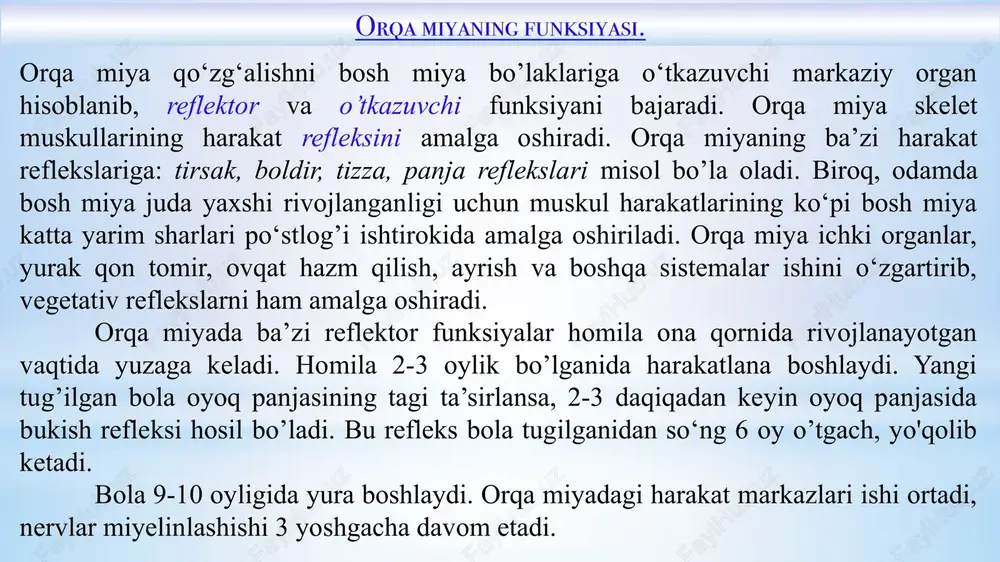, vii,xi,xii xarakatlantiruvchi, v,xi,x juftlar aralash xisoblanadi. iii, vii, ix,x juftlarida vegitativ tolalar mavjud. sezuvchi nerv analizatorlarning periferik qismlarini tashkil qiladi: xidlov i, ko’ruv ii, eshituv viii, va ta’m bilish vii, ix. i -juft xidlov nervi ii-juft shox ko’ruv nervi iii-shox ko’zni xarakatlantiruvchi nerv iv-shox g’altaksimon nerv v-shox uch shoxli nerv vi-shox uzoqlashtiruvchi nerv vii-yuz nervi viii-daxliz chig’anoq nerv ix-shox til yutqun nerv x-adashgan nerv xi-qo’shimcha nerv xii-til osti nervi bosh miya yarim sharlari po’stlog’i miya stvoli va orqa miya xarakat apparatlari bilan piramidal nerv tolalari orqali bog’langan. kulirang moddadan tashkil topgan miya po’stlog’i ostida oq moddadan tashkil topgan nerv tolalari joylashadi. miya po’stlog’ining qalinligi yarim sharlarnigng turli qismlarida xar xil bo’lib, 1,3mmdan 5mmgacha bo’ladi. miya po’slog’ining nerv xujayralari qavatlar xosil qilib joylashadi. xujayralarning shakli soni va joylashuviga ko’ra bir-birlaridan farq qiladi. limbik sistema (lotincha limbus – hoshiya), visseral miya – bosh miyaning anatomik va funksional jihatdan birbiriga yaqin boʻlimlari …