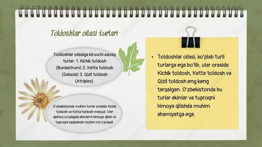 novda morfologiyasi muhim ahamiyatga ega. barglar o'simliklarning fotosintez jarayonida, novdalar esa ularning o'sishi va rivojlanishida asosiy rol o'ynaydi. barglarning shakli, o'lchami va joylashuvi o'simlik turiga qarab farq qiladi, novdalar esa ularning kuchi va elastikligini belgilaydi. bu farqlar o'simliklarning ekologik moslashuviga ta'sir qiladi. turlarning tarqalishi va ahamiyati toldoshlar oilasi o‘zbekiston ekosistemasida muhim rol o‘ynaydi. ular nafaqat biologik xilma-xillikni ta'minlaydi, balki insoniyat uchun oziq-ovqat va tabiiy resurslar manbai hamdir. ekologik ahamiyati: ekosistemalardagi roli insoniyatga foydalari: oziq-ovqat va resurslar toldoshlar oilasining umumiy ma'lumoti oila ta'rifi toldoshlar oilasining tarixi ekologiyadagi roli toldoshlar oilasi, respublikamizda keng tarqalgan turkum bo'lib, o'z ichiga turli xil o'simliklar va hayvonlarni oladi. ularning o'ziga xos xususiyatlari va ekologiyadagi roli ularni muhim qiladi. toldoshlar oilasiga kiruvchi a'zolar orasida ko'plab noyob turlar mavjud. ular biologik xilma-xillikni saqlashda muhim o'rin tutadi va ularning o'ziga xos xususiyatlari ekosistemalardagi muvozanatni ta'minlaydi. toldoshlar oilasi ekologik tizimda muhim rol o'ynaydi, chunki ular oziq zanjirida muhim bo'laklarni taqdim …