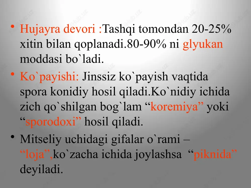 askomitsetsimonlarning chashkasimontanasi - Page 4