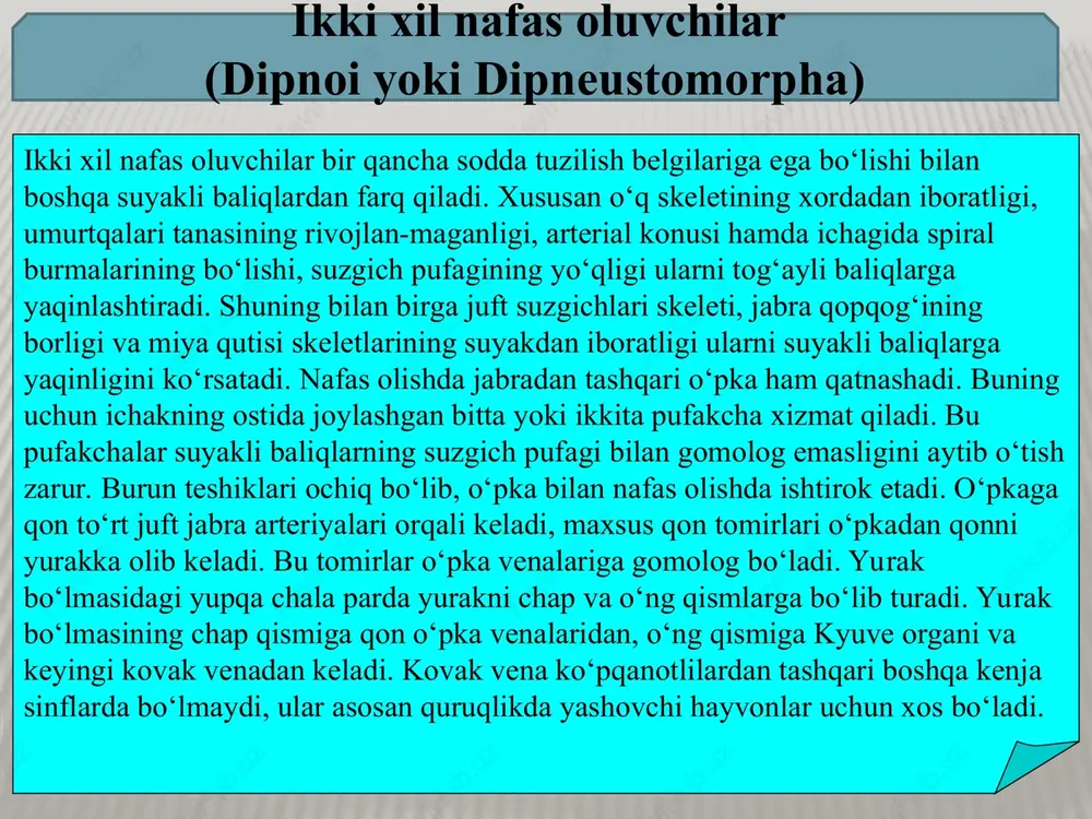 rotopterus havzalarda suv qurib qolganida balchiqqa ko‘milib, kapsulaga o‘raladi va shu vaziyatda 3-4 yil uxlashi mumkin. lepidosiren kapsula hosil qilmaydi, uning yozgi uyqusi 5 oygacha davom etishi mumkin. uxlayotgan baliqning og‘iz bo‘shlig‘i yoki burun teshigi orqali havo o‘pkaga o‘tadi. qo‘sh o‘pkalilar suv tubidagi har xil hayvonlar va qisman o‘simliklar bilan oziqlanadi. suv tubidagi chuqurchalar yoki iniga 5000 tagacha tuxum qo‘yadi. rivojlanishi metamorfozli. ikki xil nafas oluvchilar oziq-ovqat sifatida katta ahamiyatga ega emas. ularning hayotini o‘rganish orqali suvda hamda quruqlikda yashovchilarning kelib chiqishini tushuntirib berish mumkin. lekin ikki xil nafas oluvchilar suvda hamda quruqlikda yashovchilarning bevosita ajdodi bo‘la olmaydi. tangachalilar yoki qo‘sh o‘pkalilar protopterus protopterus protopterus lepidosiren paradoxa lepidosiren paradoxa lepidosiren paradoxa panjaqanotlilar paleozoyning devon va toshko‘mir davrlarida keng tarqalgan, hozir deyarli qirilib ketgan qadimgi baliqlar guruhi hisoblanadi. panjaqanotlilar vakili birinchi marta 1938 yil dekabr oyida hind okeanida, afrikaning janubiy qirg‘oqlari yaqinidagi xalumna daryosining boshlanishida traulerda baliq ovlovchilar tomonidan 70 m …