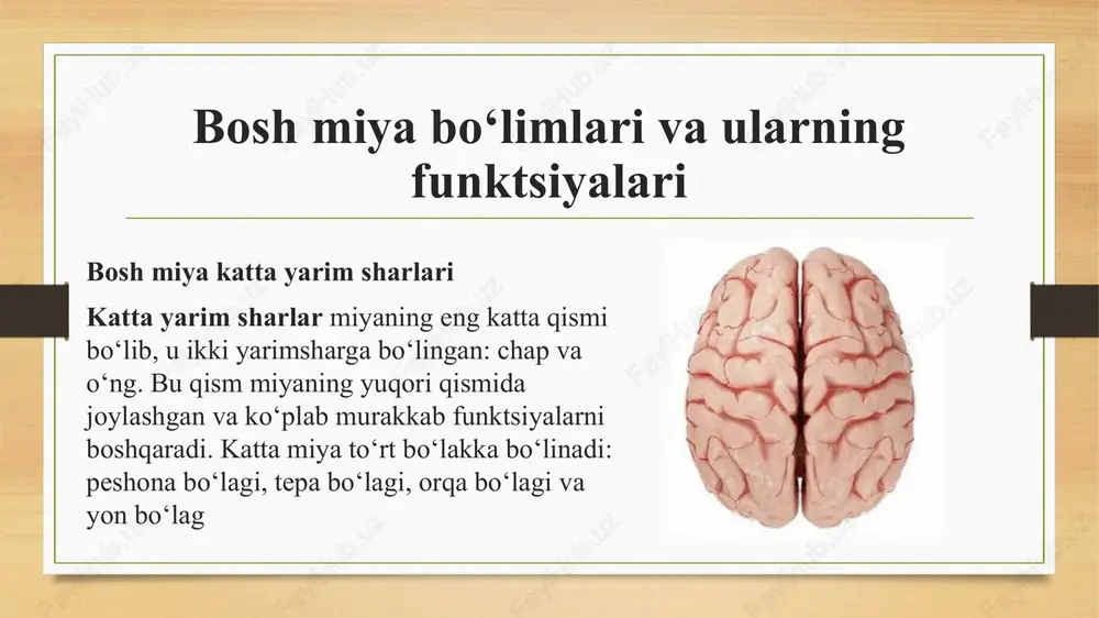 bosh miya turli boʻlimlari faoliyatini oʻrganish - Page 4